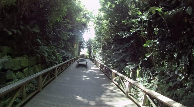 日記内の写真