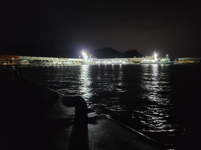 日記内の写真