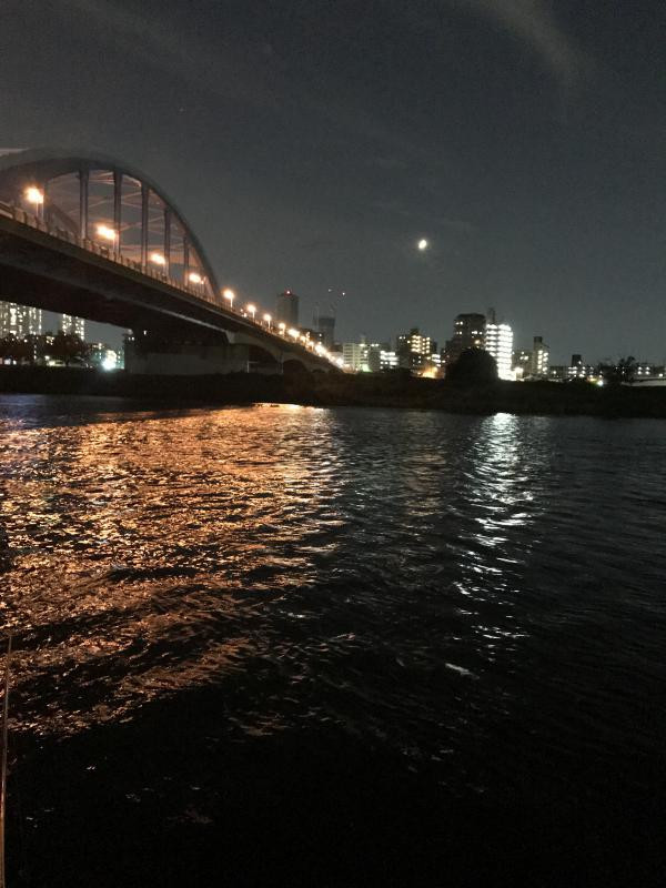 多摩川丸子橋シーバス２回目 釣りペディア