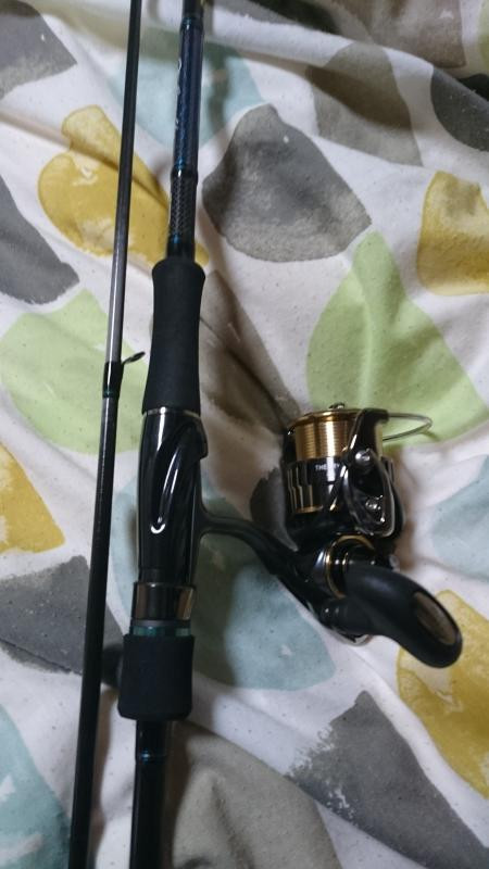 Emeraldas AIRAGS 89M エギングロッド ダイワ エギングロッド エメラルダス AIR 89MLM・K(2ピース