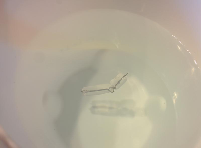 日記内の写真