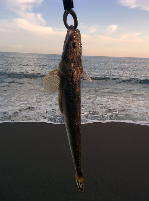 日記内の写真
