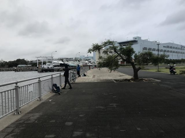 日記内の写真