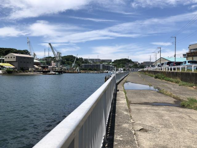 日記内の写真