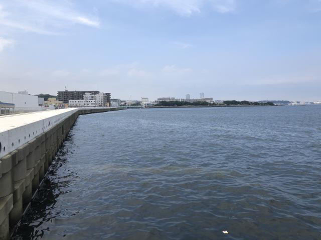 日記内の写真