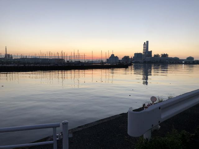 通勤ラッシュが嫌なのでin根岸湾 釣りペディア