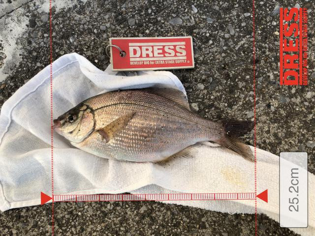 日記内の写真