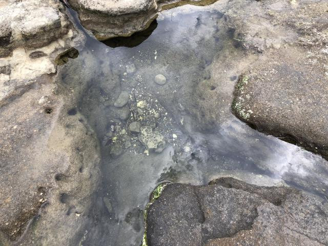 日記内の写真
