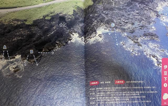 日記内の写真