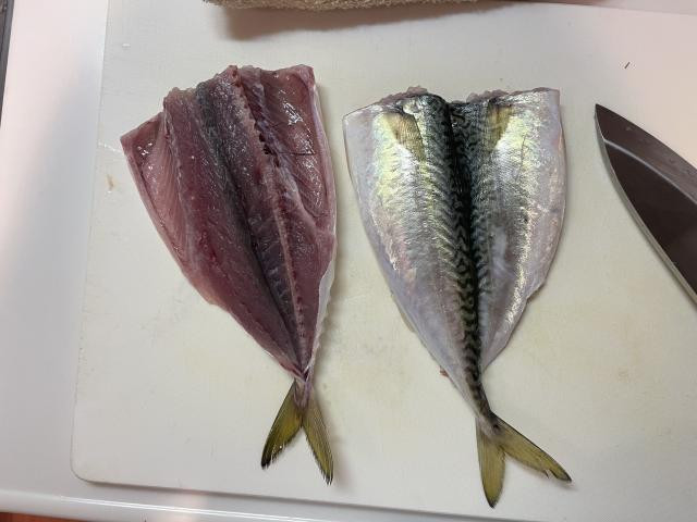 日記内の写真