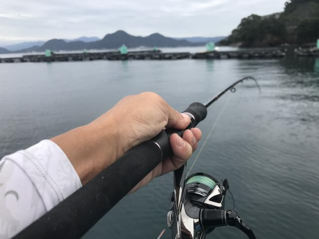 日記内の写真