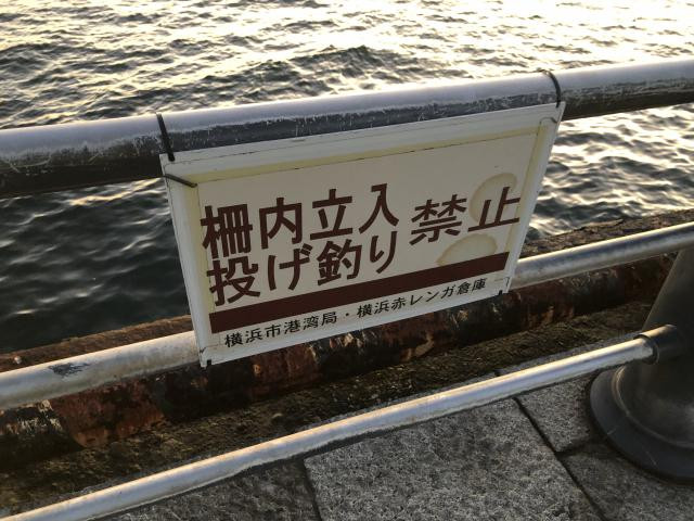 日記内の写真