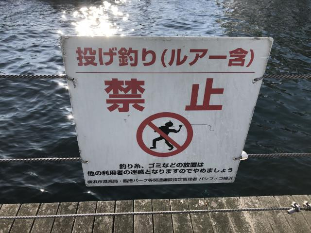 日記内の写真