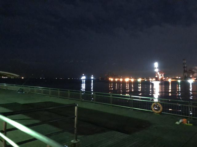 日記内の写真