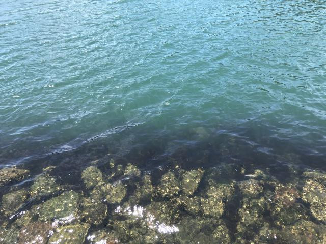 日記内の写真