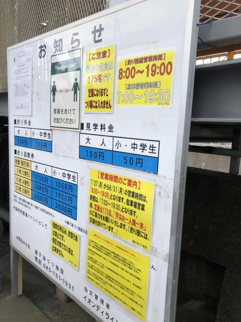 日記内の写真