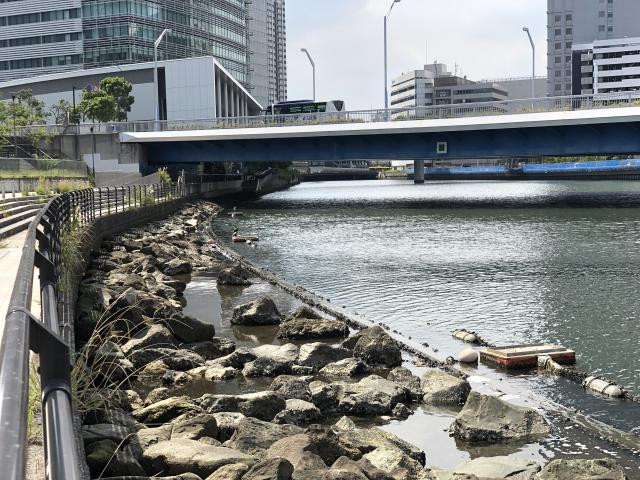 日記内の写真