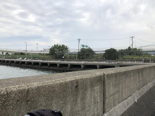 日記内の写真