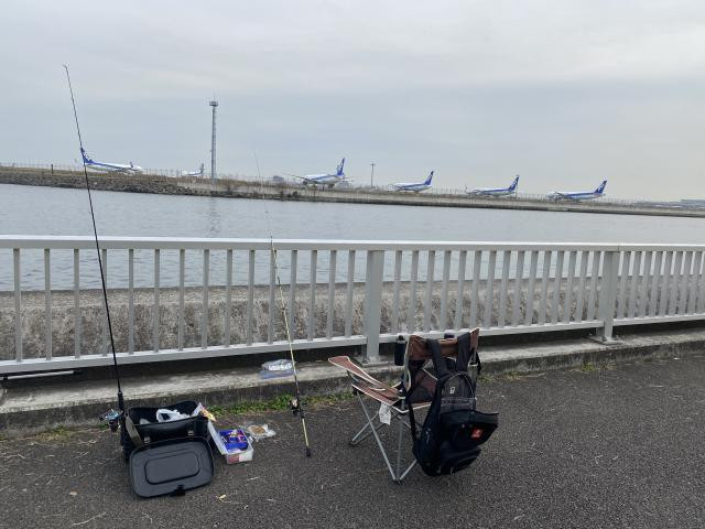 日記内の写真