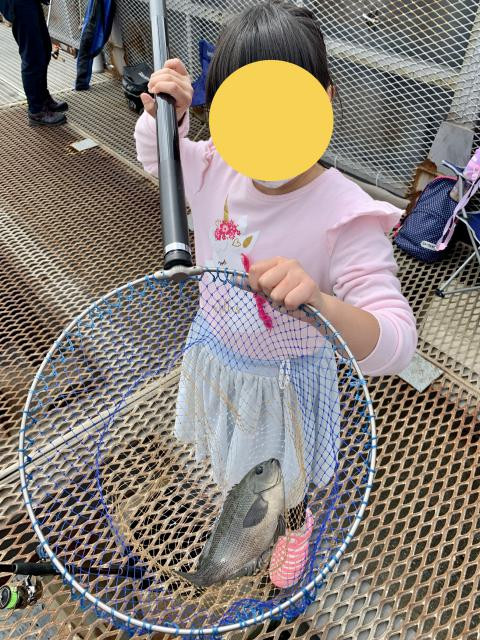 日記内の写真