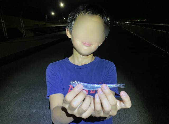 日記内の写真