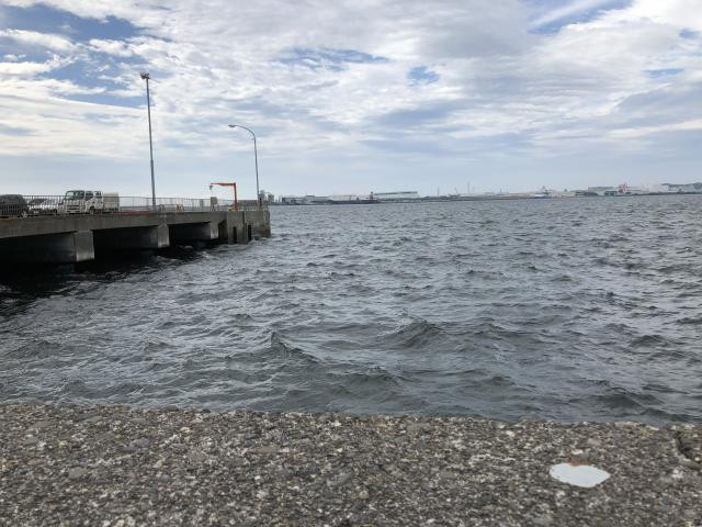 爆風 釣り場変更 In根岸湾 釣りペディア