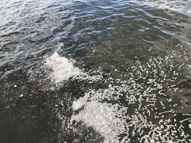 日記内の写真