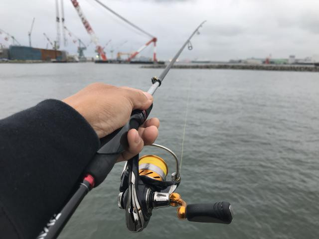 日記内の写真