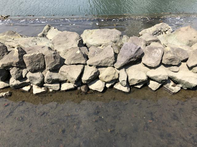 日記内の写真