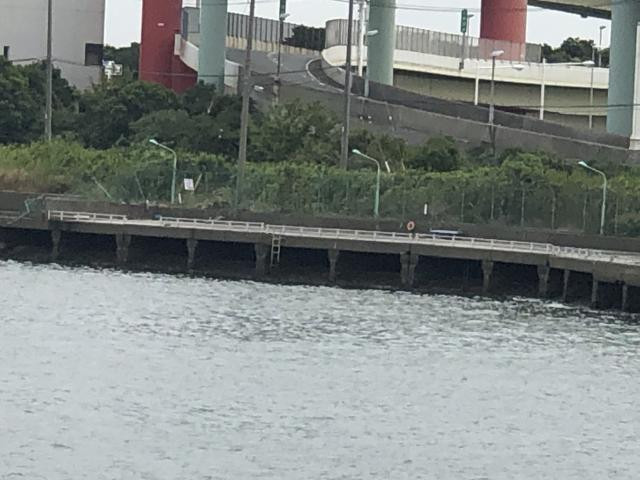 日記内の写真