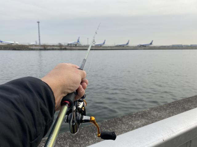 日記内の写真