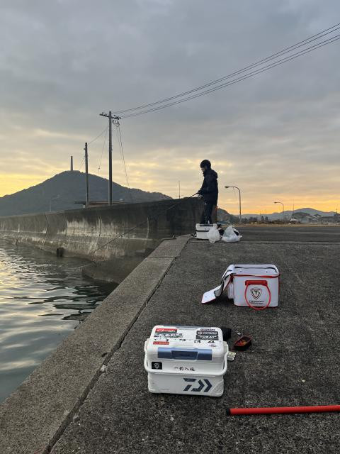 日記内の写真