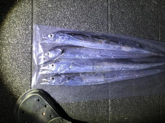 日記内の写真