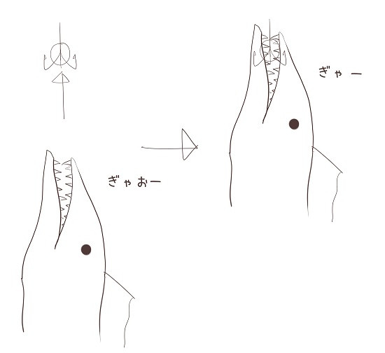 日記内の写真