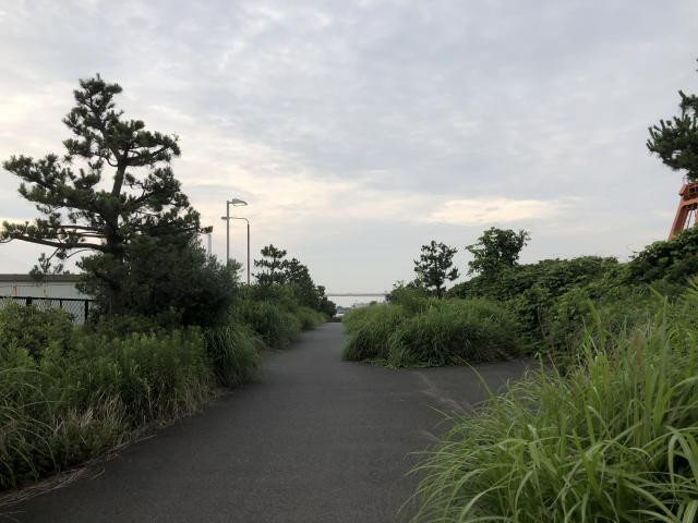 日記内の写真