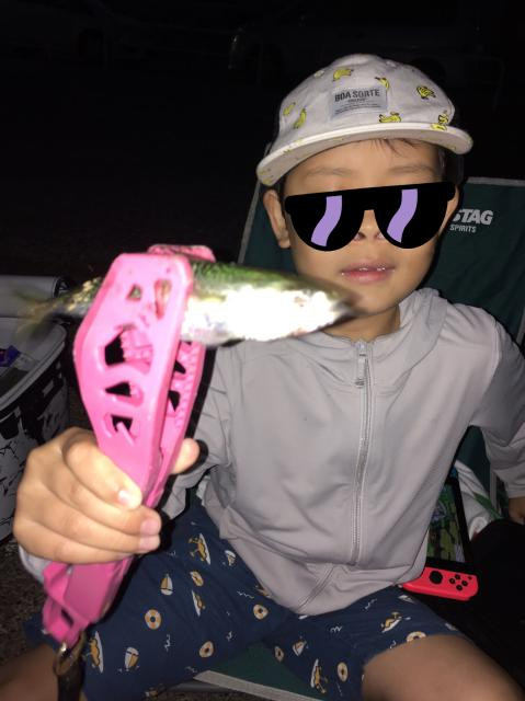 日記内の写真