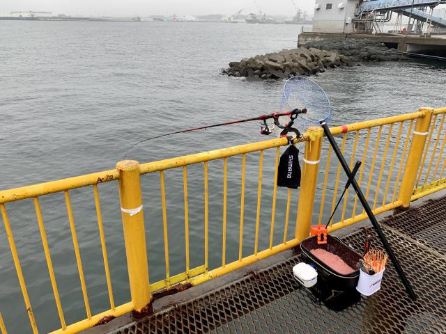 雨の日なら入場できるかな 磯子海づり施設0926 釣りペディア