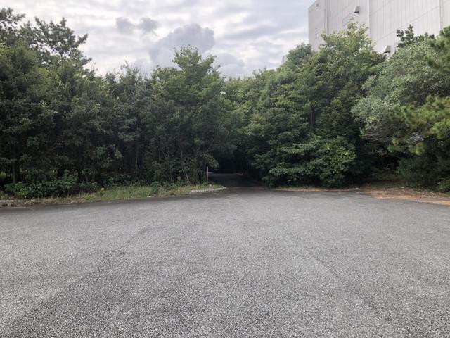 日記内の写真