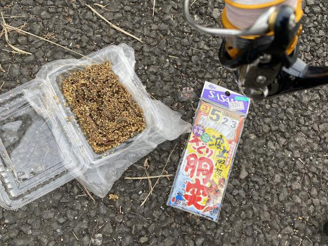 日記内の写真