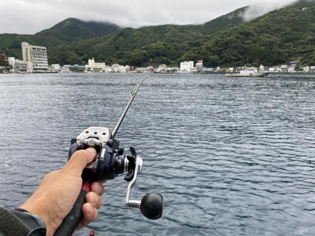 日記内の写真