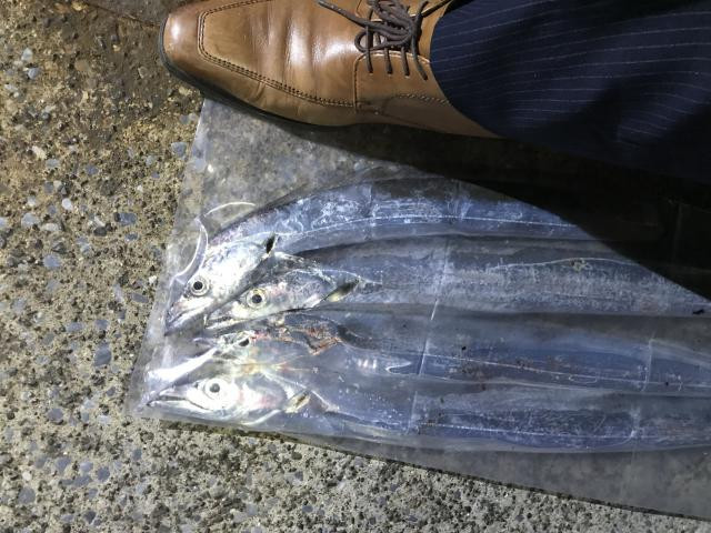 日記内の写真