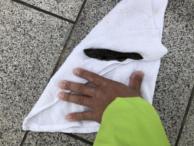 日記内の写真