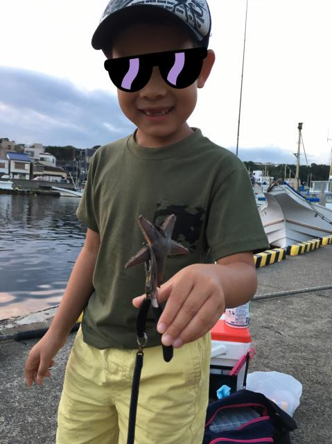 日記内の写真