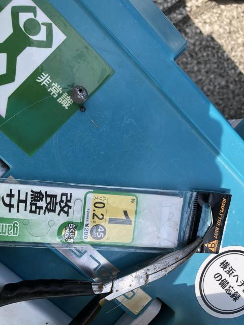 日記内の写真
