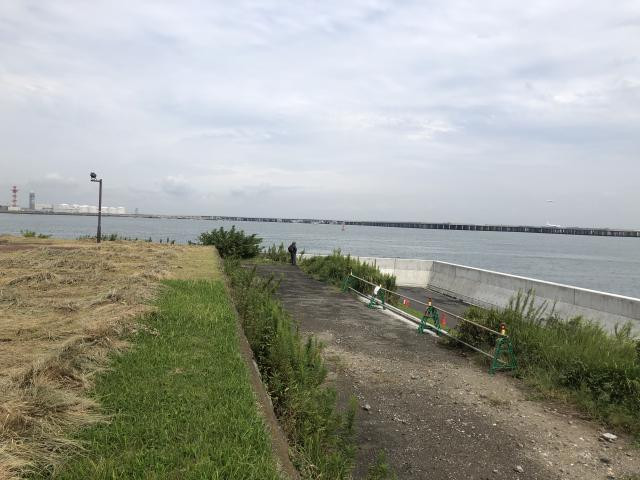日記内の写真