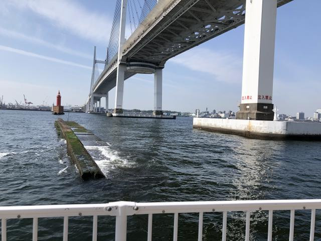 日記内の写真