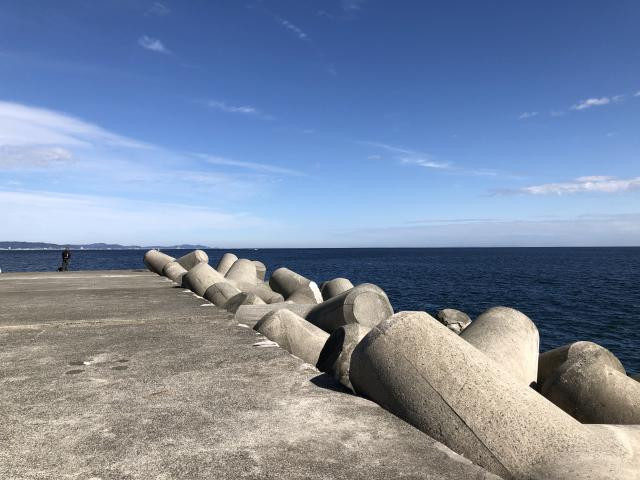 日記内の写真