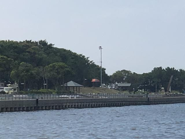 日記内の写真