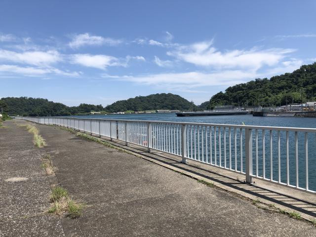 日記内の写真