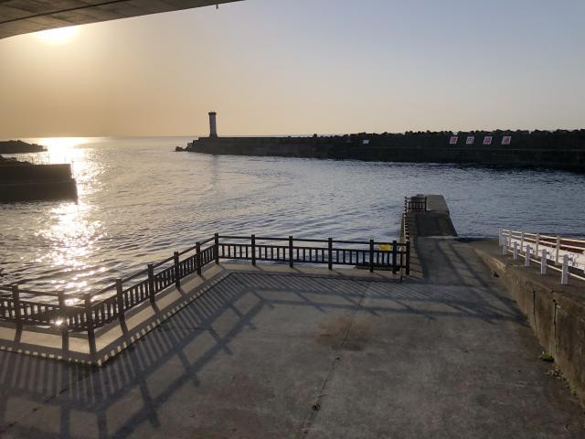 日記内の写真